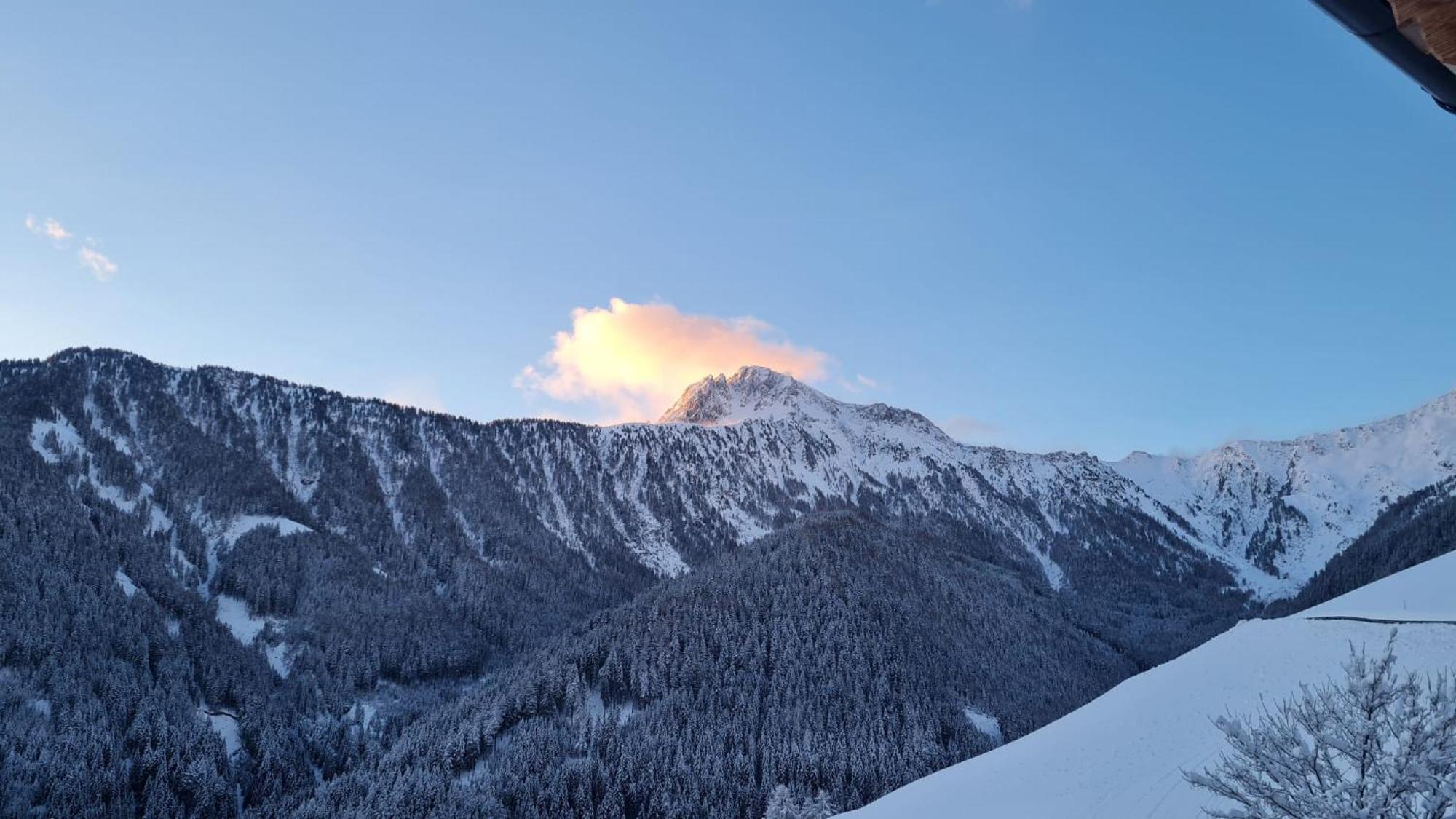 Gasserhof คัมโป ดิ เทรนส์ ภายนอก รูปภาพ
