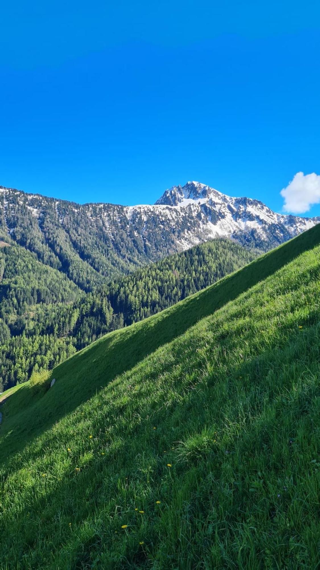 Gasserhof คัมโป ดิ เทรนส์ ภายนอก รูปภาพ