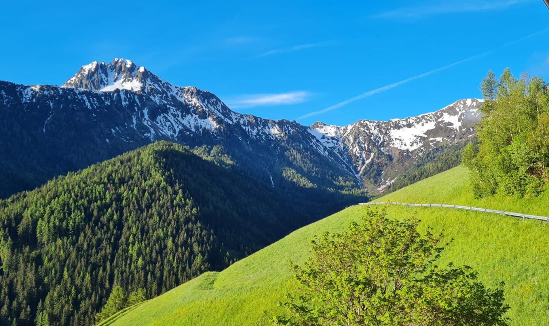 Gasserhof คัมโป ดิ เทรนส์ ภายนอก รูปภาพ
