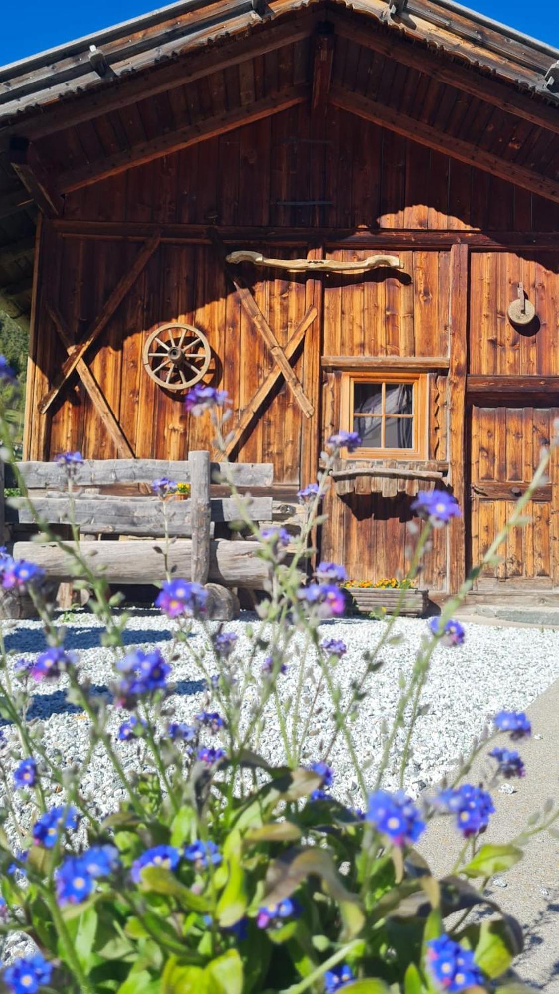 Gasserhof คัมโป ดิ เทรนส์ ภายนอก รูปภาพ